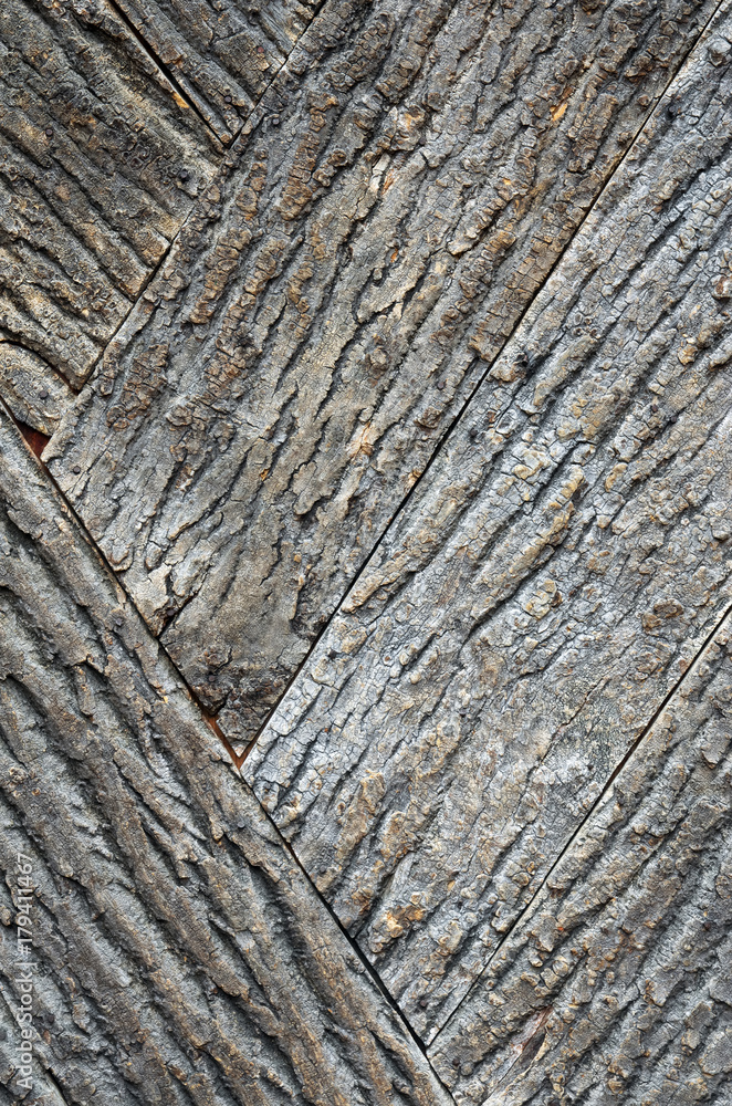 Old bark wood texture. Old bark wood texture.