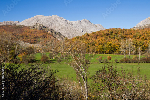 Paisaje con Praderas, Montaña de Roca Caliza y Bosque Otoñal