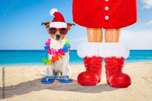 dog and owner as santa claus on christmas at the beach © Javier brosch