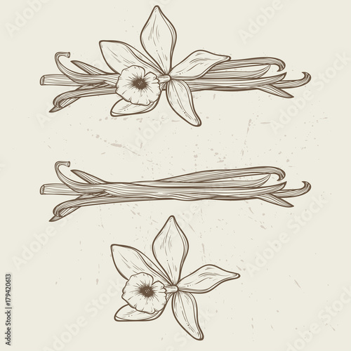 Vanilla pods and flowers