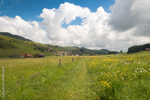 Ein Spaziergang durch die Blumenwiese