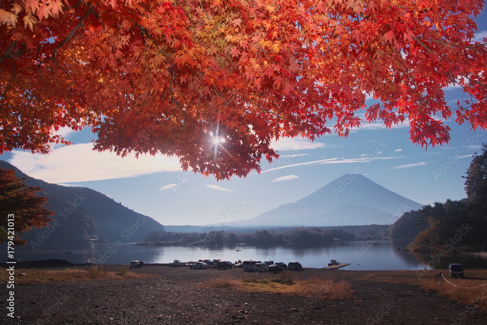 秋に覆われた湖畔