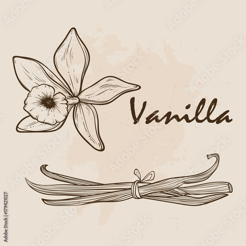 Vanilla pods and flowers
