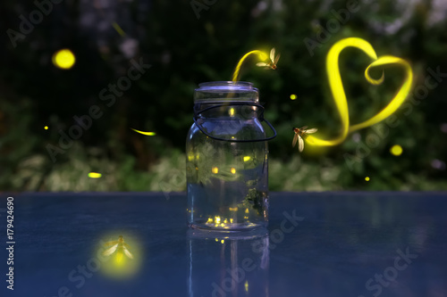 Fireflies in love.