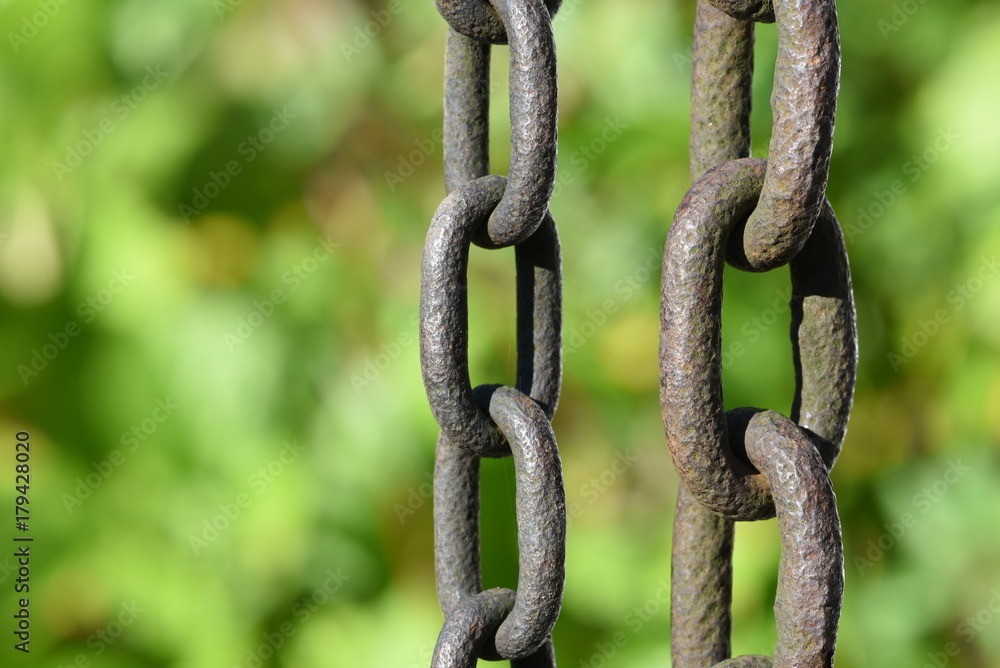 Rain chain closeup in the garden Rain chain closeup in the garden
