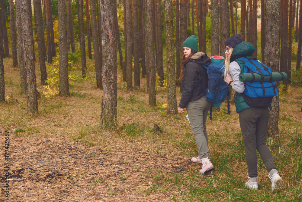 Female travelers from back in the pine forest. Female travelers from back in the pine forest.