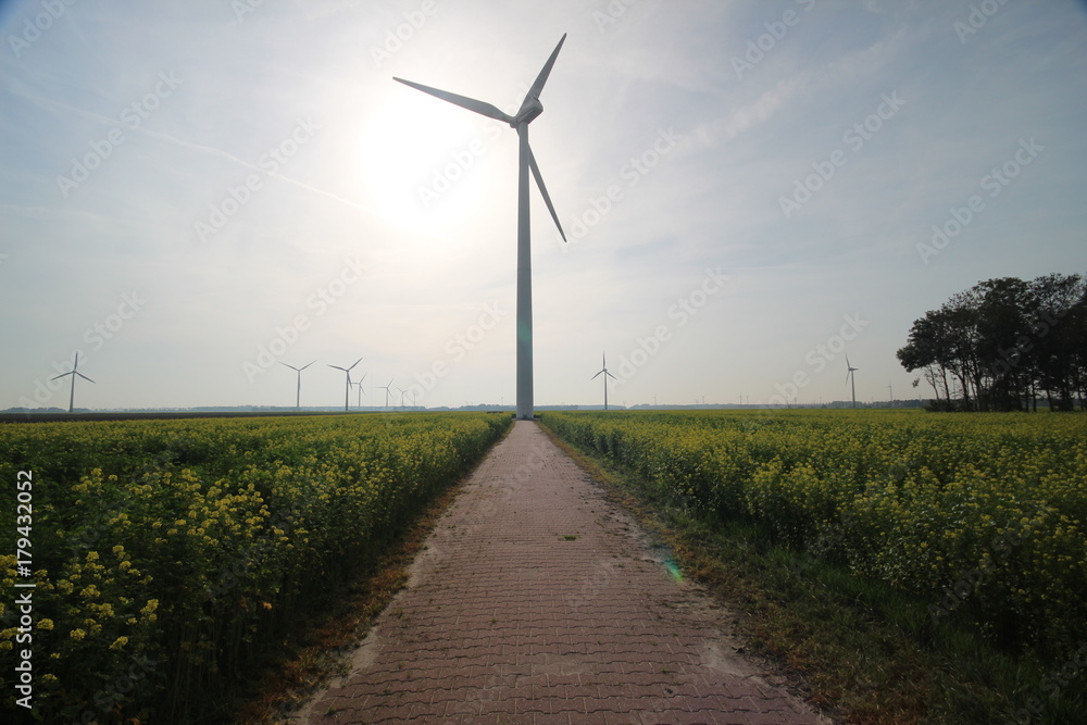 Modern windmill on a meadow in Flevoland, Netherlands