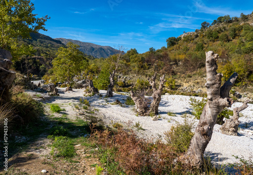 Luni Drino river canbyon photo