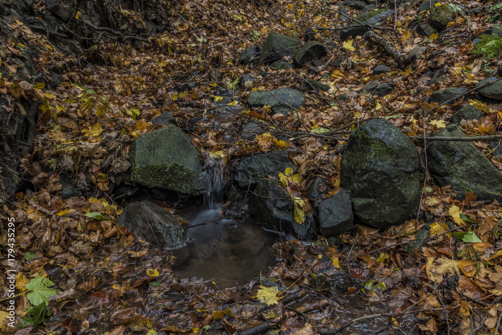 Nemecsky creek in Prucelska valley in autumn evening with color leafs Nemecsky creek in Prucelska valley in autumn evening with color leafs