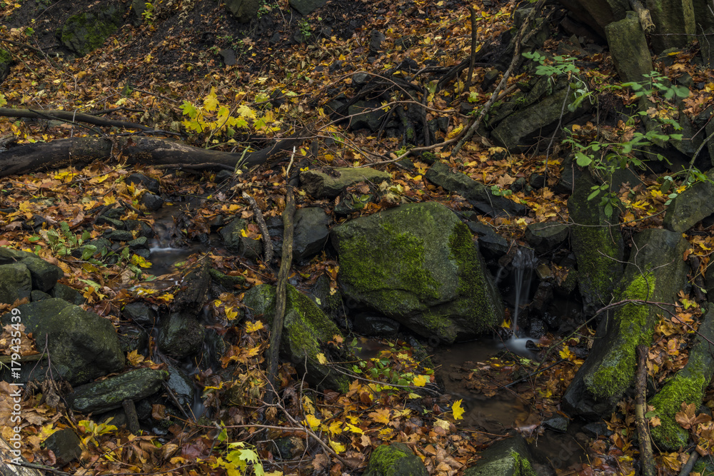 Nemecsky creek in Prucelska valley in autumn evening with color leafs Nemecsky creek in Prucelska valley in autumn evening with color leafs