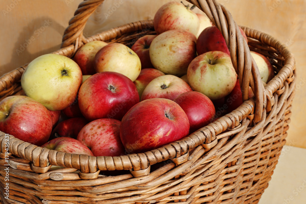 Bright ripe apples in a basket Bright ripe apples in a basket