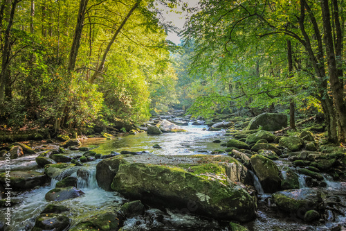 Stream Flowing through Woods in Tennessee near Gatlinburg