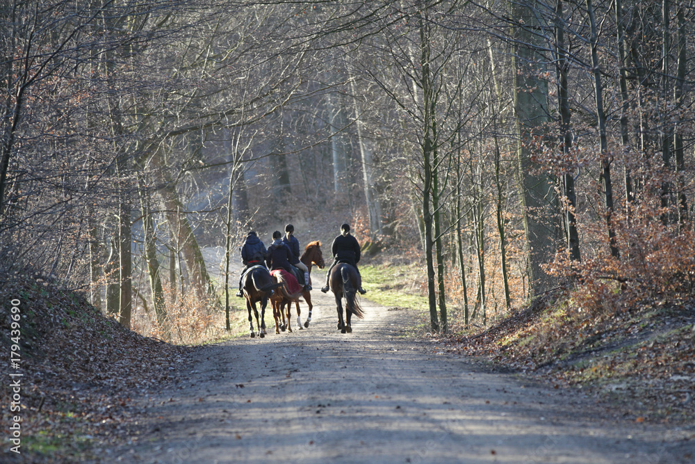 Group of Horse riders in a forest Group of Horse riders in a forest