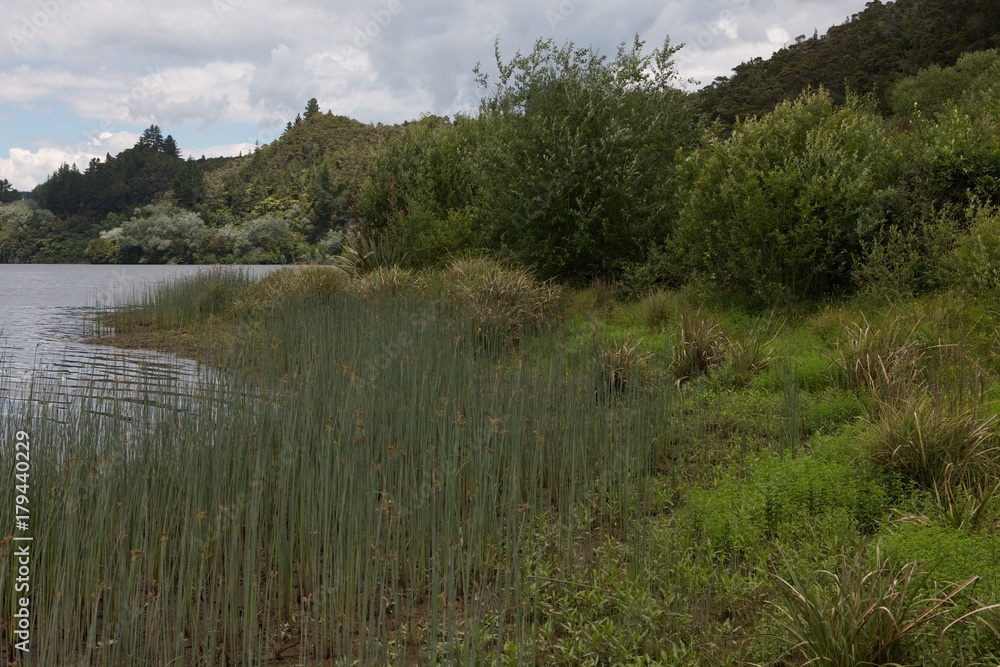Jackson Bay Haast New Zealand Jackson Bay Haast New Zealand