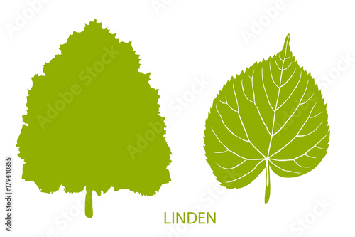 The set of simple icons of tree and leaf. Linden