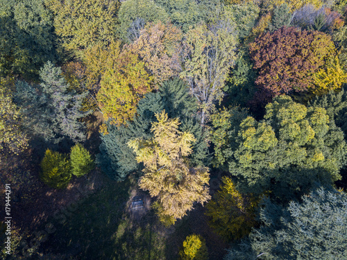 Natura e paesaggio: vista aerea di un parco, foliage di autunno, alberi foglie e prato, area verde, ecologia