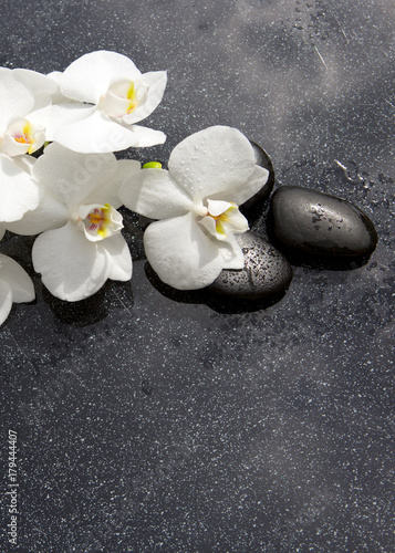 Still life with spa stones and white orchid.