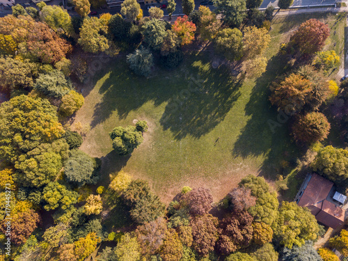 Natura e paesaggio: vista aerea di un parco, foliage di autunno, alberi foglie e prato, area verde, ecologia