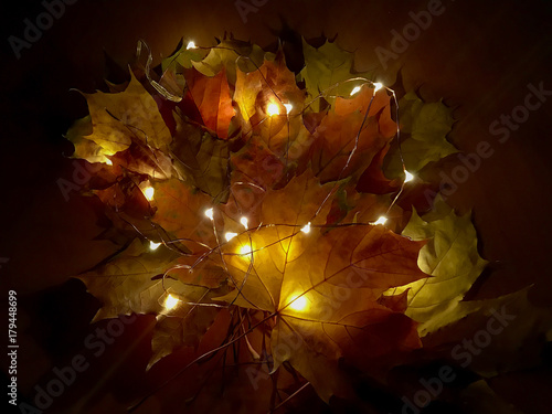 leaves in the lamps garlands