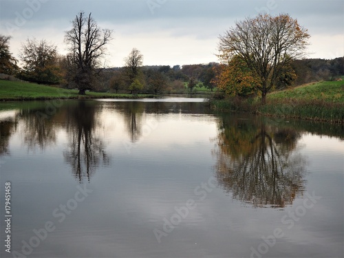 Trees reflected in a lake at Ripley, North Yorkshire, England