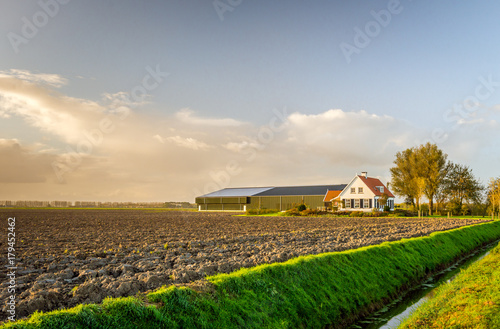 Print op canvas Modern Dutch farmhouse with barns in late afternoon light