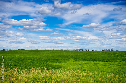 Alberta rural landscape