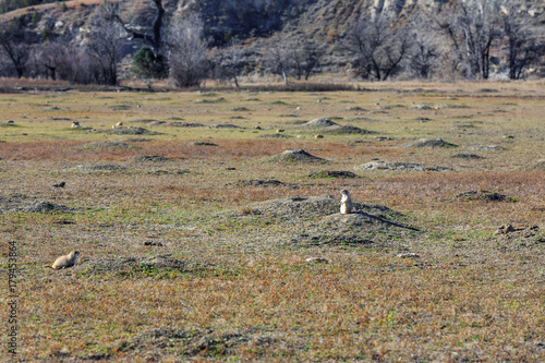 Prairie Dog holes line the landscape at Theodore Roosevelt National Park, North Dakota