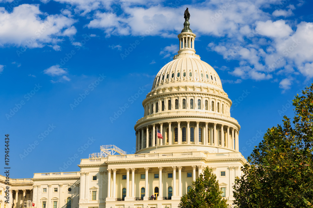 Fototapeta premium The United States Capitol building in Washington DC