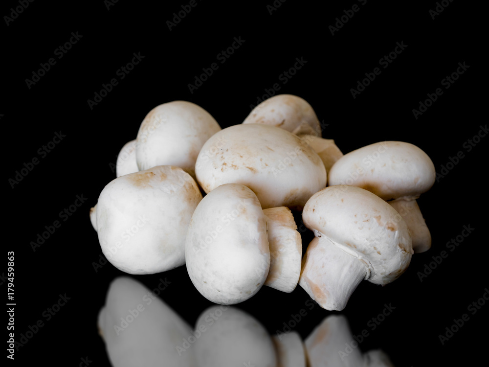 close-up white culture mushroom on bright background close-up white culture mushroom on bright background
