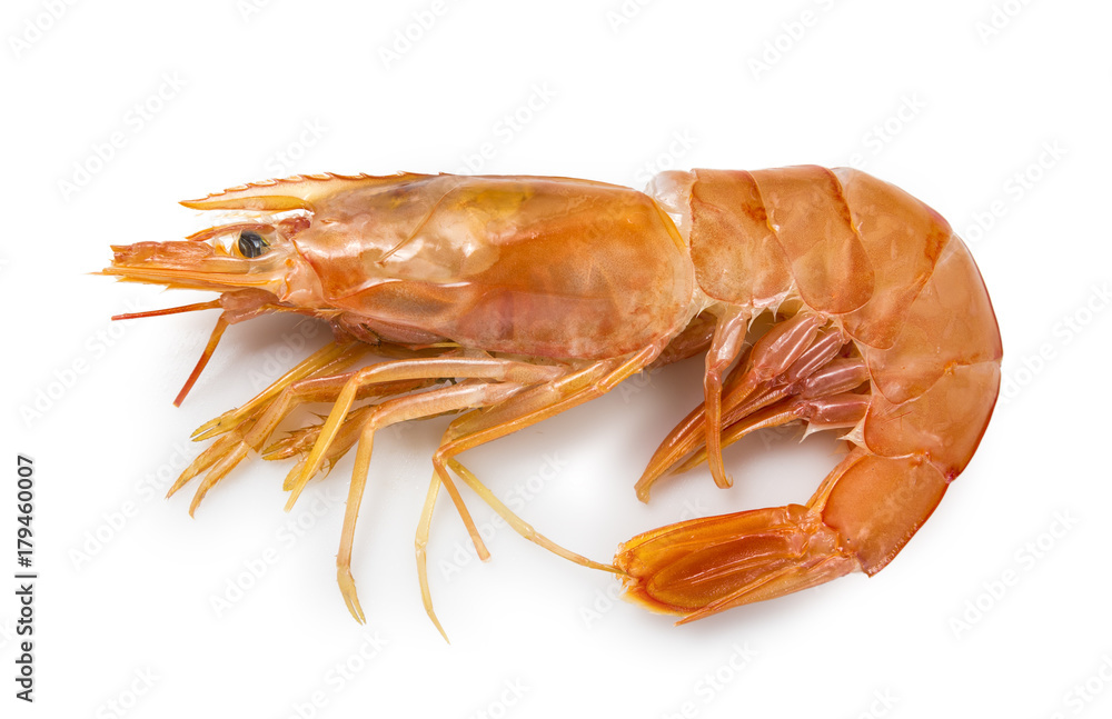 Langostino crudo