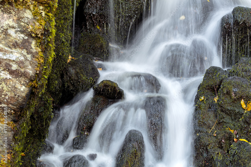 Obraz premium Autumn Stream