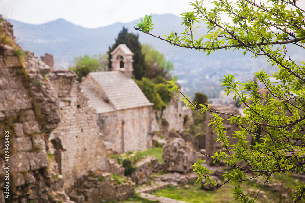 ruins of old europe city through branch with young shoots ruins of old europe city through branch with young shoots