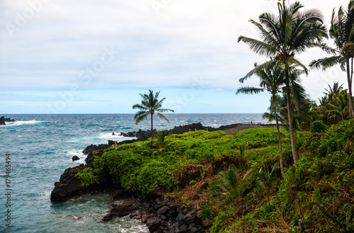 Waianapanapa State Park on Maui island of Hawaii is featuring black lava sand, tidal caves & native plants