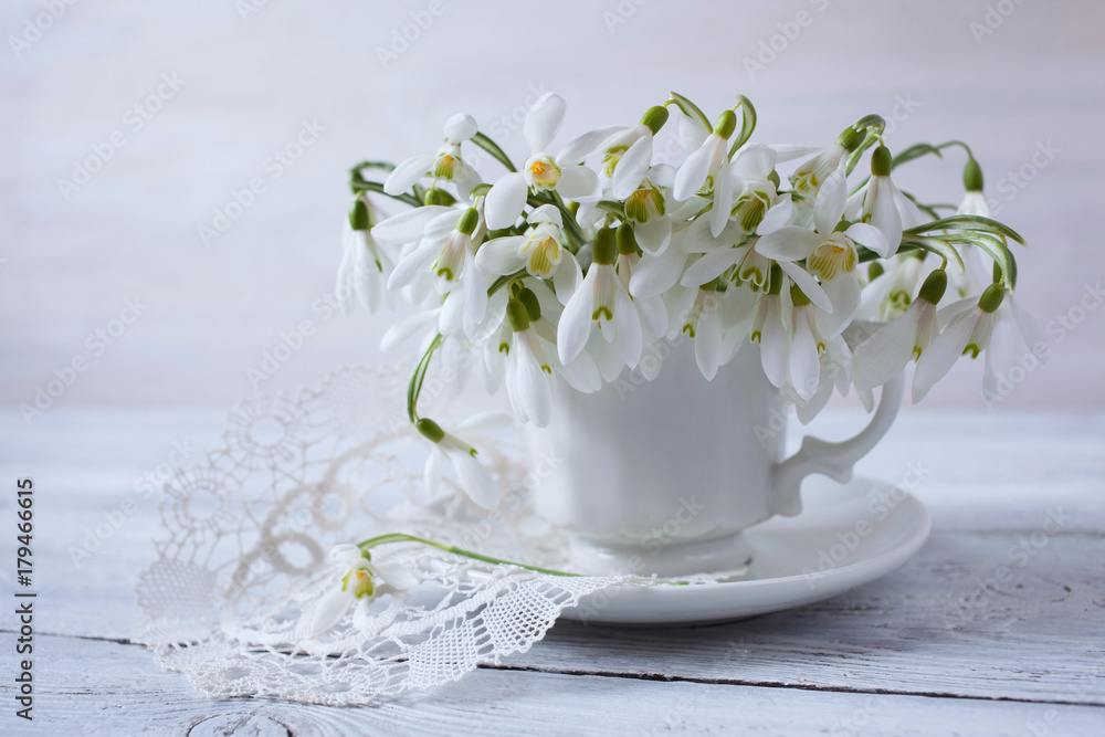 Snowdrops in a cup Snowdrops in a cup