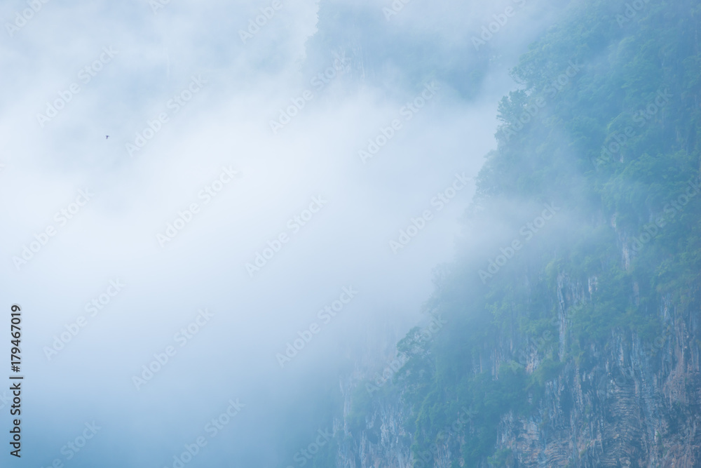 thick fog covers mountain forests in Thailand