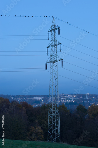 Hoch Spannungs Mast mit Krähen Vögeln photo