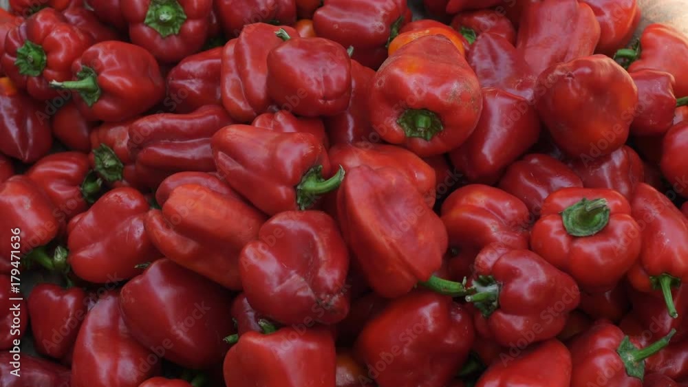Tasty ripe pepper collect in autumn, fresh organic vegetable, paprika cultivation. Red pepper, paprika, autumn harvest. Tasty ripe pepper collect in autumn, fresh organic vegetable, paprika cultivation. Red pepper, paprika, autumn harvest.