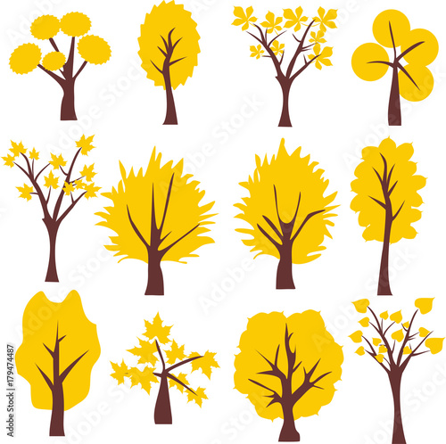Autumn trees collection. Vector illustration. Autumn tree Clip Art.