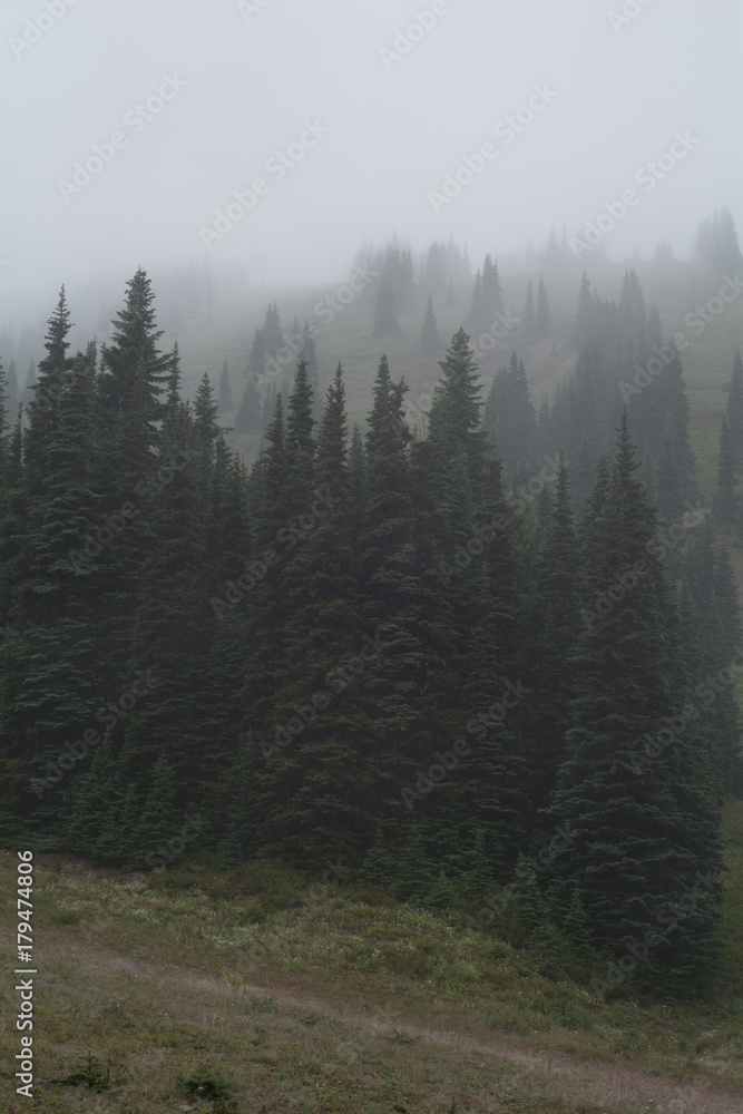 Crystal Mountain Ski Resort Spring Washington Fog