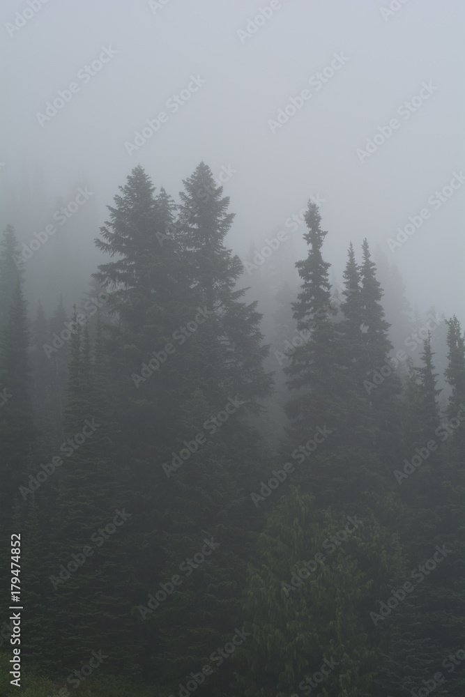 Crystal Mountain Ski Resort Spring Washington Fog Crystal Mountain Ski Resort Spring Washington Fog