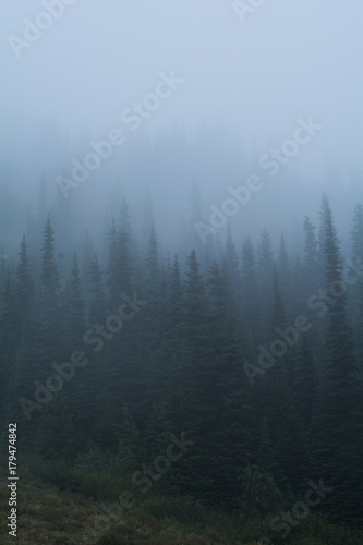 Crystal Mountain Ski Resort Spring Washington Fog