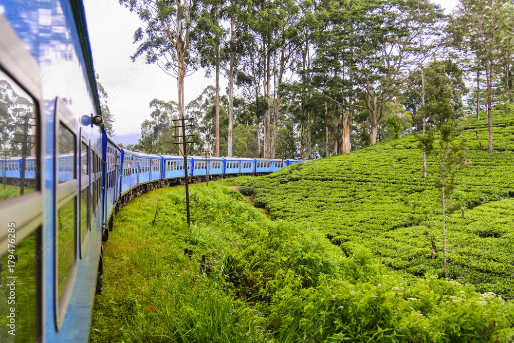 A train goes through tea plantation in Nuwara Eliya district, Sri Lanka. Tea production is one of the main sources of foreign exchange for Sri Lanka (formerly called Ceylon)