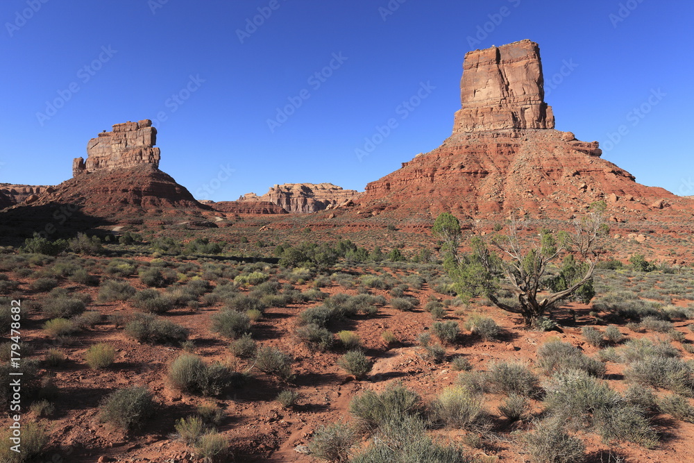 Fototapeta premium バレー・オブ・ザ・ゴッズのビュート