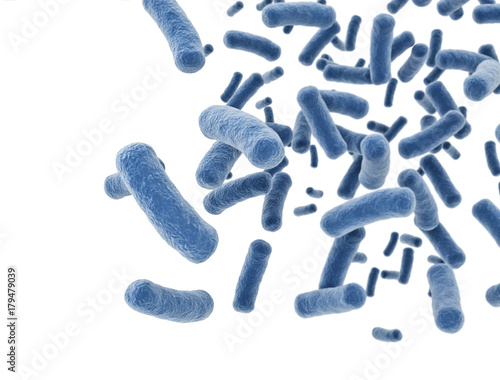 Bacteria cells isolated on white background  photo
