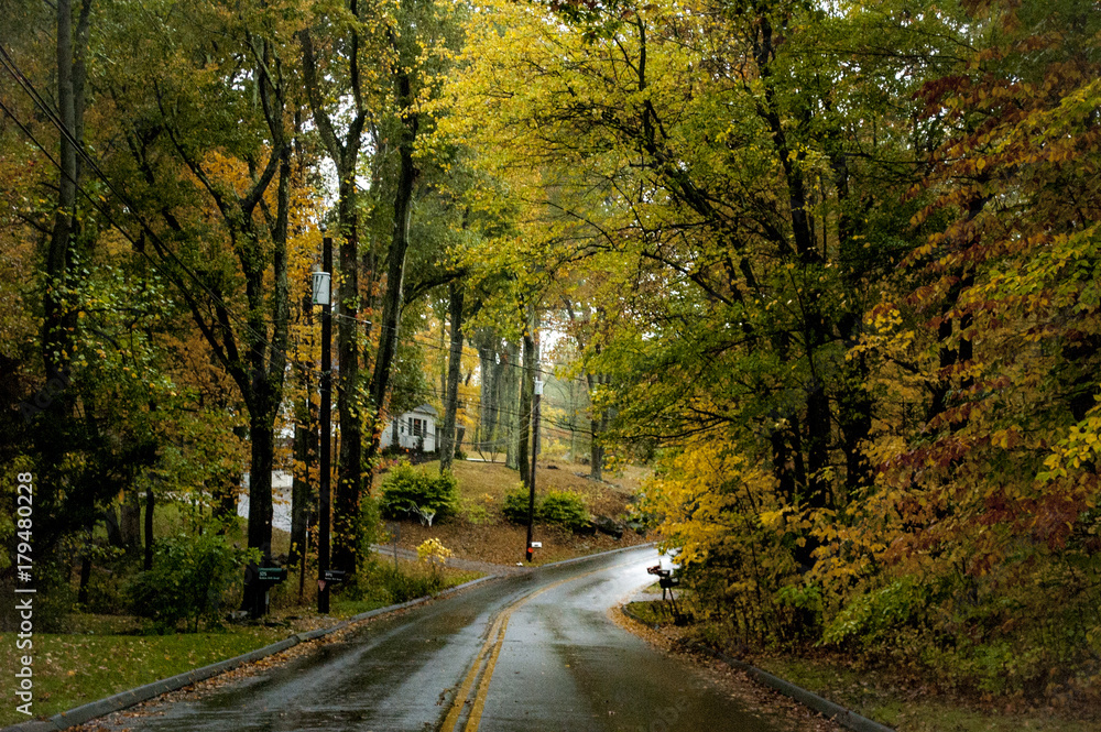 Autumn scene of rainy country road lined by bright colorful trees