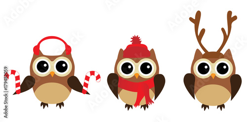 Vector Fun Owls