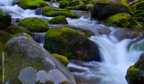 Waterfall in Smoky Mountain National Park