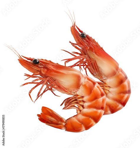 Double red prawns or tiger shrimps isolated on white