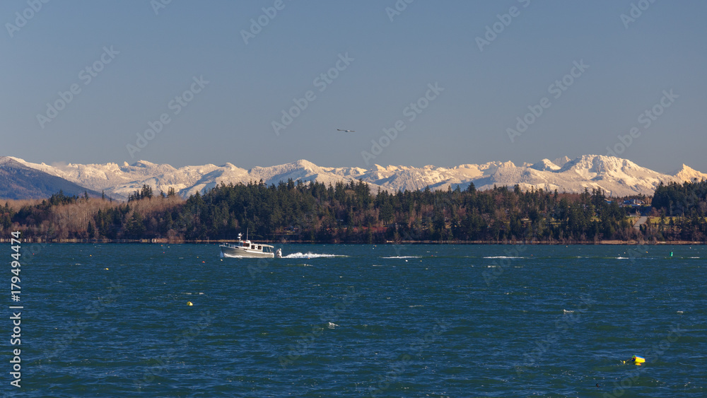 A winter view across Padilla Bay with boat passing by, evergreen trees by the shoreline, and snow covered mountains in the background.