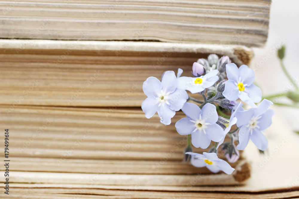 Stack of old books and forget-me-not flowers